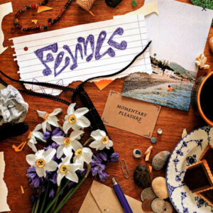 Fennec - Momentary Pleasure