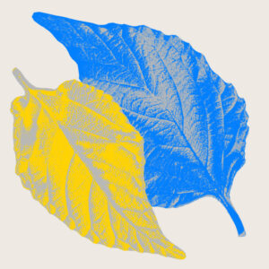 Pau Roca - Your Energy