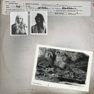 700 Bliss - Nothing To Declare