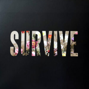 Lewis Capaldi - Survive
