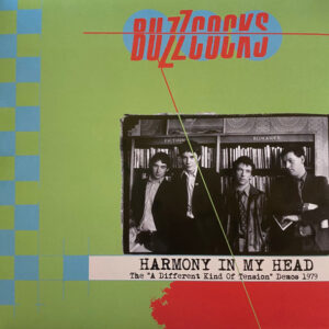 Buzzcocks - Harmony In My Head (The "A Different Kind Of Tension" Demos 1979)