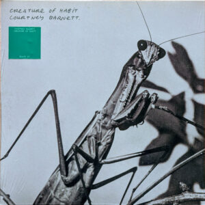 Courtney Barnett - Creature Of Habit